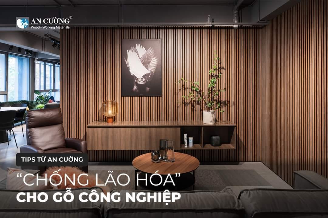 BÍ QUYẾT “CHỐNG LÃO HÓA” CHO GỖ CÔNG NGHIỆP | GỖ AN CƯỜNG