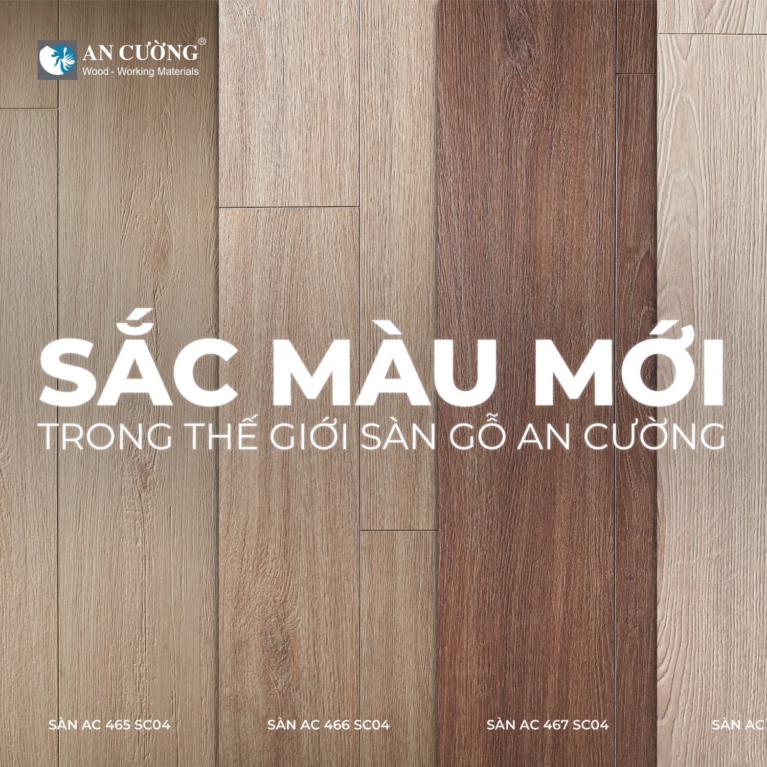 SÀN GỖ AN CƯỜNG